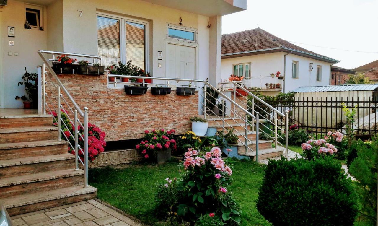 Guest House Gina Ohri Oda fotoğraf